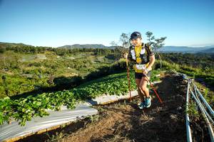 BIB: 
                            <button type="button" onclick="openModal(19110526)" class="btn btn-primary btn-sm float-right btn-popup" data-toggle="modal" data-target=".modal-high-quality">
                        <i class="fas fa-shopping-cart"></i> Add to Cart
                    </button>
                                            <button type="button" onclick="isThisMe(19110526, true)" class="btn btn-success btn-sm float-right btn-popup btn-isme hidden" data-toggle="tooltip" data-placement="bottom" title="นี่คือรูปของคุณใช่ไหม คลิกที่นี่เพื่อเอาเข้าอัลบั้ม">
                        <i class="fas fa-plus"></i> Add to album
                    </button>
                    <button type="button" onclick="isThisMe(19110526, false)" class="btn btn-warning btn-sm float-right btn-popup btn-isnotme hidden">
                        <i class="fas fa-ban"></i> Remove from album
                    </button>